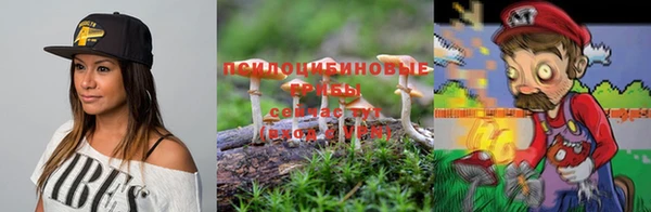индика Аркадак