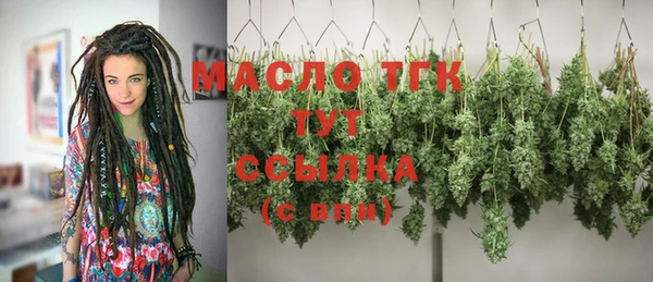 индика Аркадак