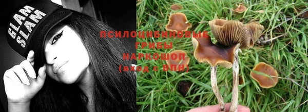 прущая мука Баксан