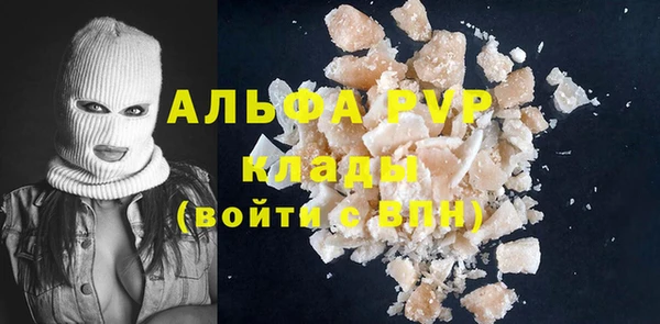 индика Аркадак