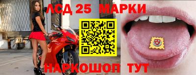гидра Рузаевка