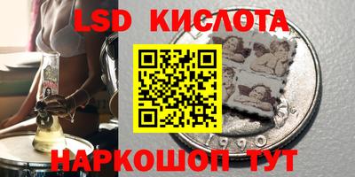 СК Рыбинск