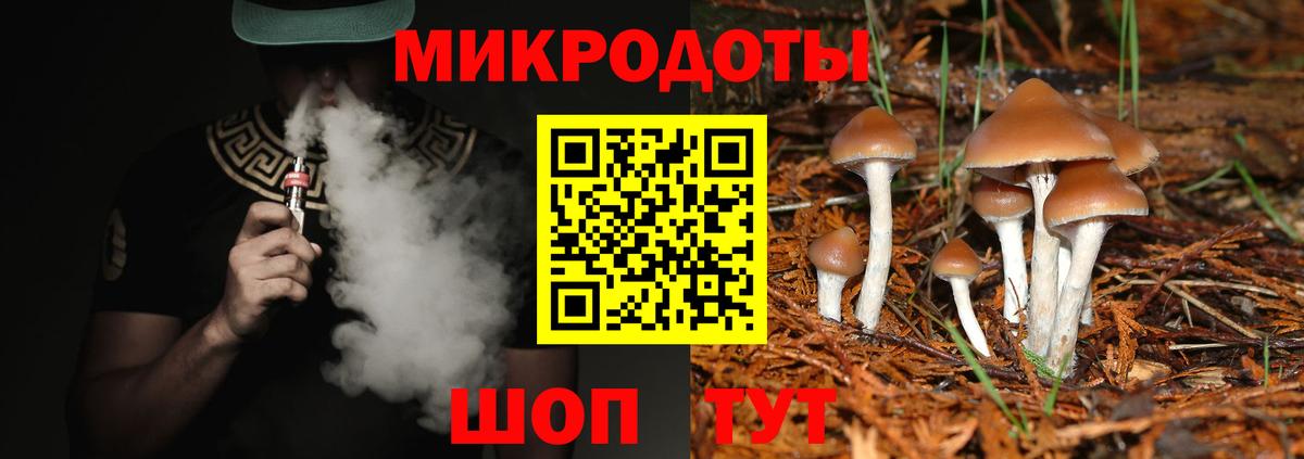 Псилоцибиновые грибы мухоморы Барабинск