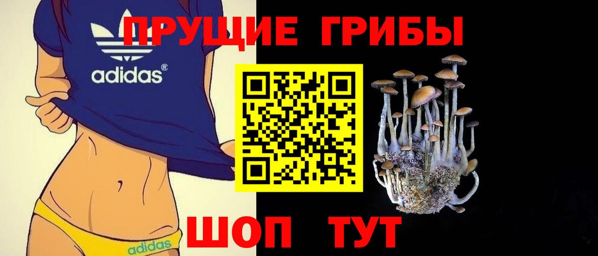 даркнет сайт  Галлюциногенные грибы Psilocybine cubensis  Вход с VPN  Барабинск 
