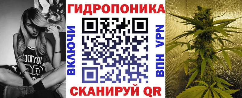 магазин Барабинск Бошки марихуана MAZAR
